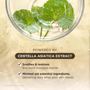 [Hudson'S Pick]  Madagascar Centella Ampoule, Korean Face Serum with Centella Asiatica for Hydrating & Moisturizing, Soothing Facial Serum for Skin Balance, Korean Skin Care, 1.85 Fl.Oz, 55Ml