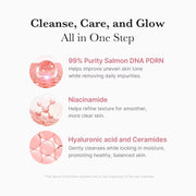 Medicube PD RN Marshmallow Whip Cleanser Face Wash Cleansing Foam for Pore Care Nourishing Facial Cleanser Korean Skincare
